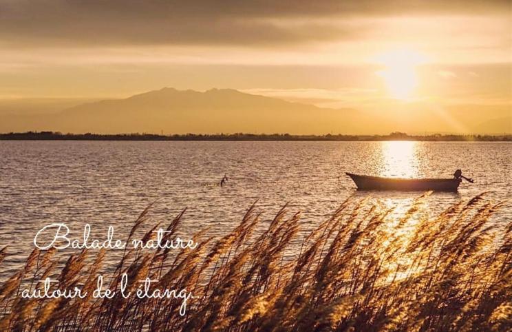Escale Au Sud, Un Appart Les Pieds Dans L Eau :) Le Barcarès Esterno foto